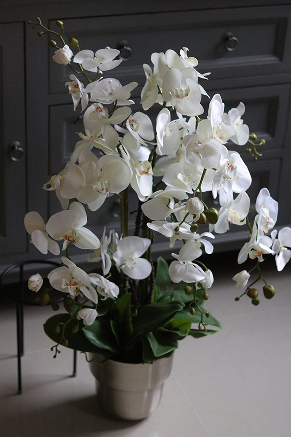 elegancki storczyk w metalowej donicy, Polleona 2, wys.89cm