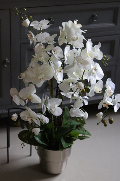 elegancki storczyk w metalowej donicy, Polleona 2, wys.89cm