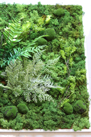 jednostronna zielona rama z mchem, Natura, wym. 80x80cm