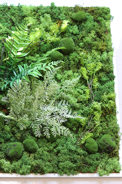 jednostronna zielona rama z mchem, Natura, wym. 80x80cm