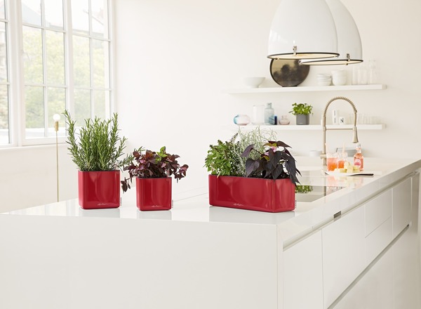 Cube Glossy, elegancka donica z nawadnianiem, czerwona, wym.16x17cm