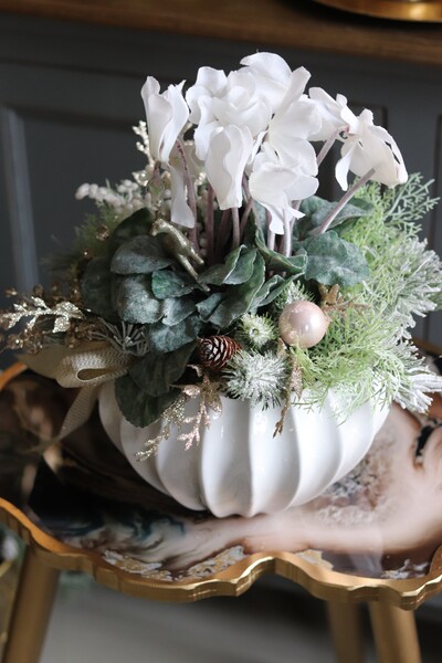 elegancka zimowa kompozycja, Cyklamenia Winter, wys.35cm 