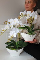 Galiano Small, wyjątkowy sztuczny storczyk, wys.36cm 