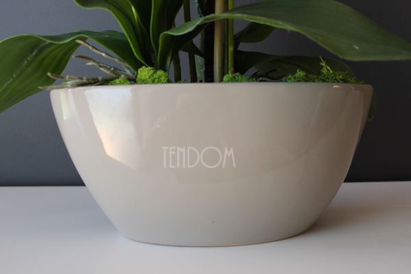 Ballano Beige storczyk w beżowej podłużnej donicy, wys.60cm