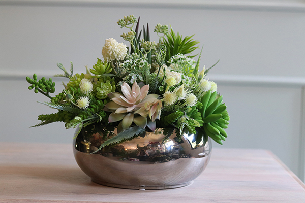 Atenea, kompozycja sukulenty w okrągłej lustrzanej donicy, wys.20cm