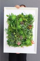 atrakcyjna jednostronna rama Hotels Sukulenty 5, wym.77x57cm 