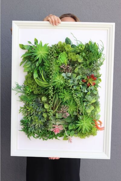 atrakcyjna jednostronna rama Hotels Sukulenty 5, wym.77x57cm 