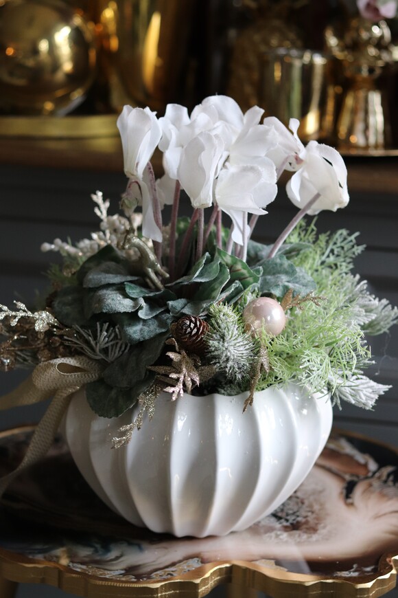 elegancka zimowa kompozycja, Cyklamenia Winter, wys.35cm 