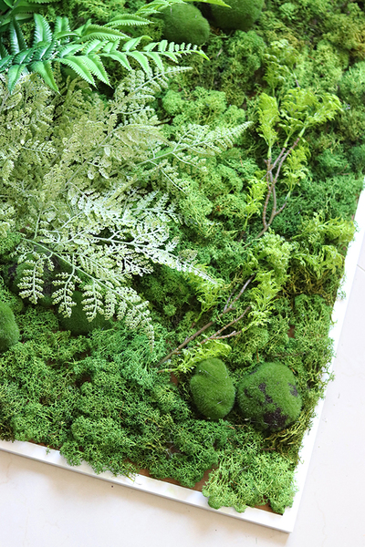 jednostronna zielona rama z mchem, Natura, wym. 80x80cm