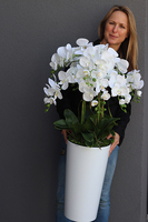 Mediolan White, sztuczny storczyk w wysokiej białej donicy, wys.104cm