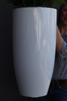 Grande Fiberglass White Extra, efektowny storczyk w białej donicy z fiberglass (połysk), wys.150cm