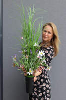 Różowa Łąka, kompozycja traw w plastikowym wkładzie do wazonu, wys.78cm