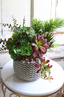 Boho Basket A, kompozycja sukulenty w donicy - koszu, wym.38x32cm