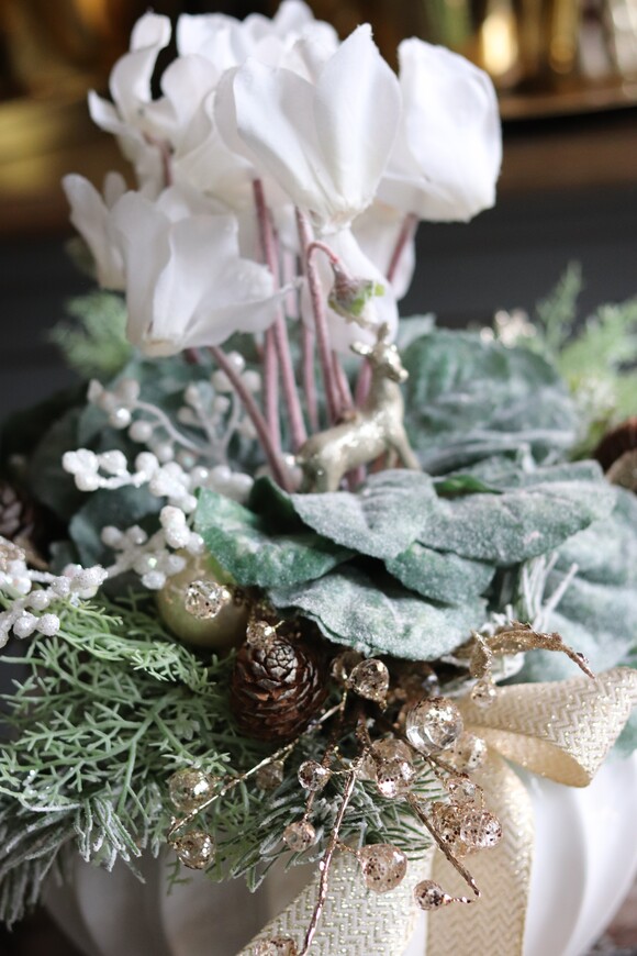 elegancka zimowa kompozycja, Cyklamenia Winter, wys.35cm 