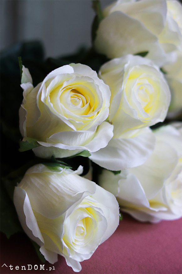 bukiet śmietankowych róż, Blanca, 10szt, wys.50cm 