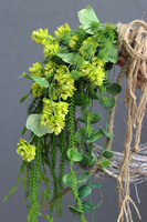 Ballo Chmielny, zielony wianek na drzwi, śr.30cm