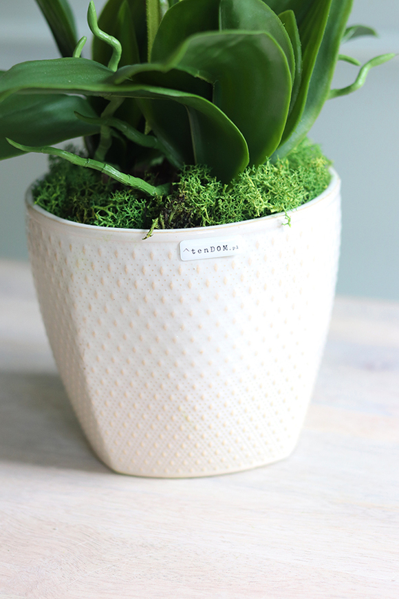 Dziewczyny Lubią Brąz, oryginalny storczyk do dekoracji, wys.56cm