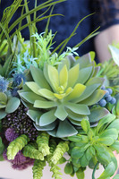 Anya Blue, kompozycja w białej donicy z niebieskimi dodatkami, wys.38cm