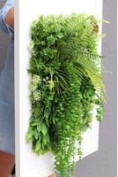 atrakcyjna jednostronna rama Hotels Sukulenty 4, wym.77x57cm 