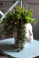 efektowna kompozycja sukulenty w głowie, Crazy Head, wys.34cm