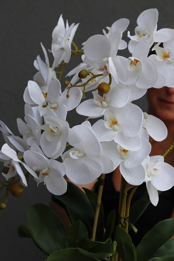 Kulena Yvette, sztuczny storczyk w etno donicy, wys.68cm