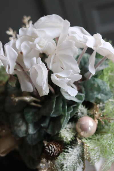 elegancka zimowa kompozycja, Cyklamenia Winter, wys.35cm 