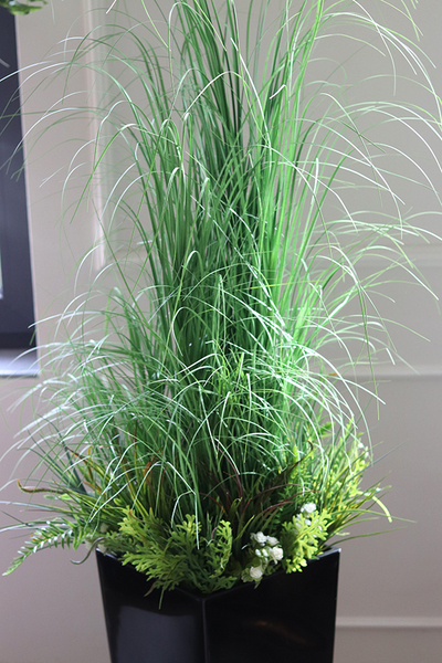 Renala Black, kompozycja z traw z sukulentami w donicy, wys.155cm