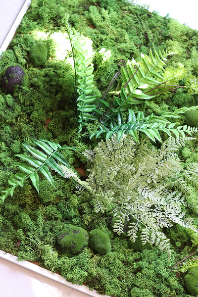 jednostronna zielona rama z mchem, Natura, wym. 80x80cm