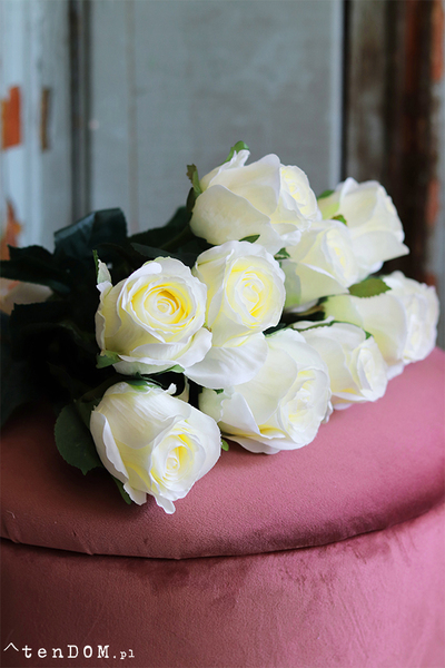 bukiet śmietankowych róż, Blanca, 10szt, wys.50cm 