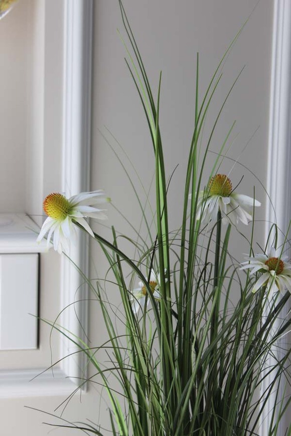 delikatna kompozycja traw z jeżówką, Lotto, wys.90cm 