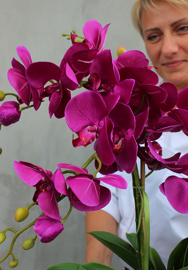 efektowny storczyk Fuksja 2 w lustrzanej donicy Laos, wys.65cm