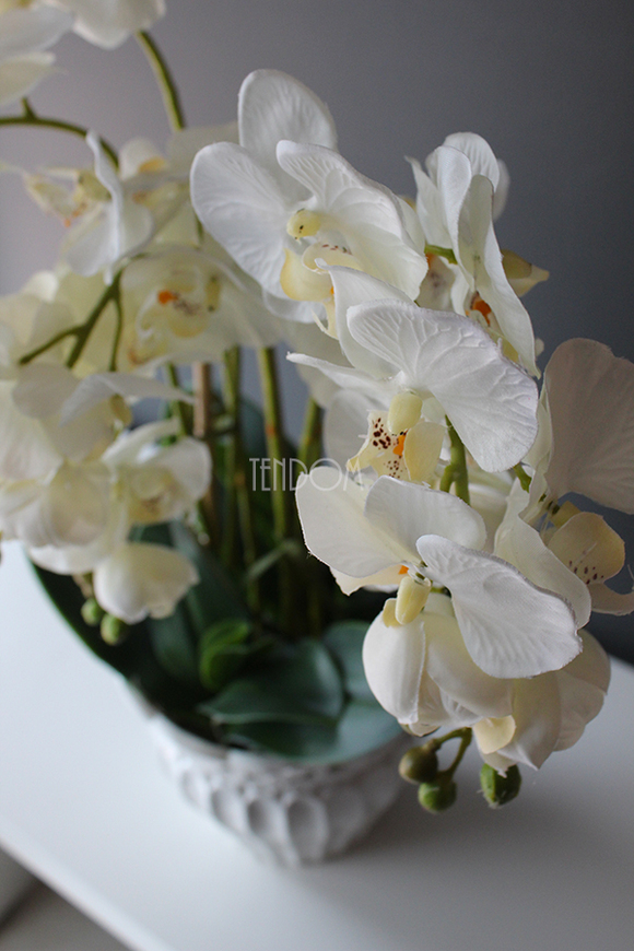 Sana kremowy storczyk w ażurowej donicy, wys.60cm