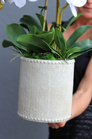 Kulena Yvette, sztuczny storczyk w etno donicy, wys.68cm