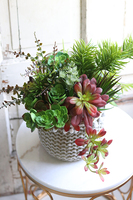 Boho Basket A, kompozycja sukulenty w donicy - koszu, wym.38x32cm