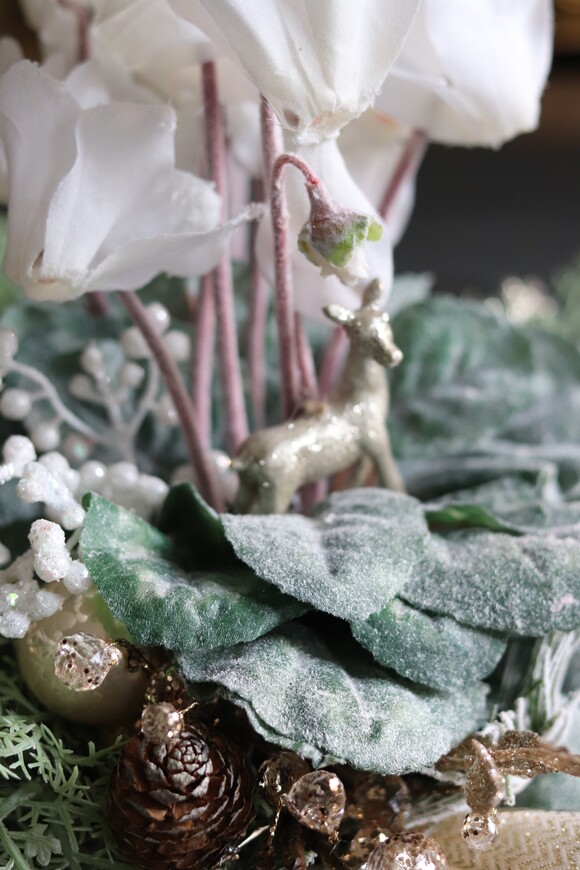 elegancka zimowa kompozycja, Cyklamenia Winter, wys.35cm 