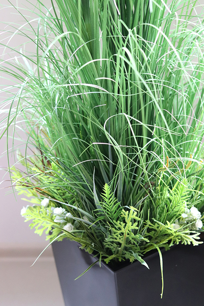 Renala Black, kompozycja z traw z sukulentami w donicy, wys.155cm