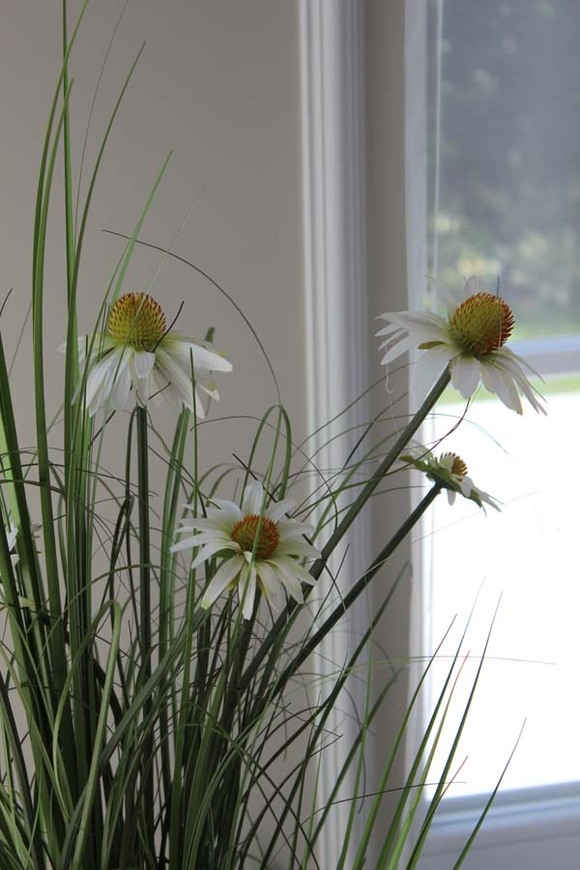 delikatna kompozycja traw z jeżówką, Lotto, wys.90cm 