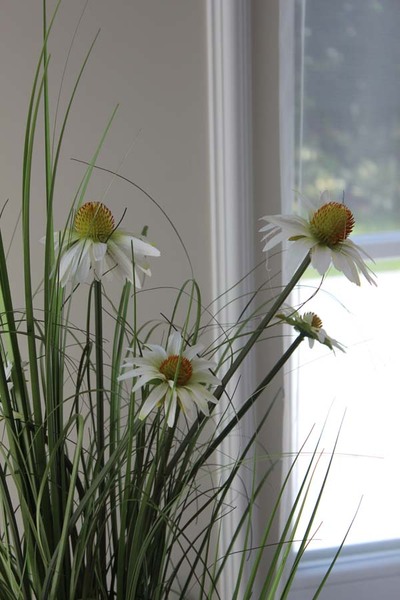 delikatna kompozycja traw z jeżówką, Lotto, wys.90cm 