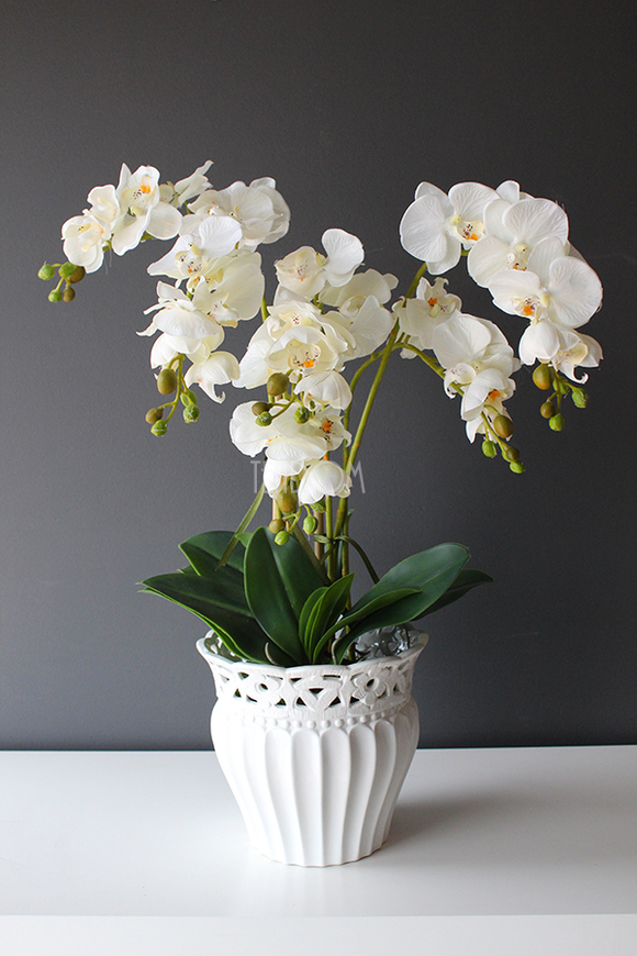 Sana kremowy storczyk w ażurowej donicy, wys.60cm