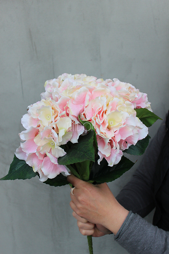 bukiet jasnoróżowych hortensji Samba 5szt. główek kwiatów, wys.46cm