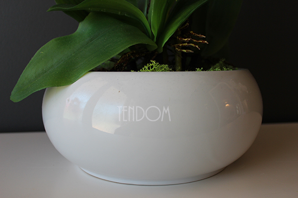 storczyk gumowy Camilla White w ceramicznej, białej donicy, wys.61cm