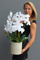 Kulena Yvette, sztuczny storczyk w etno donicy, wys.68cm