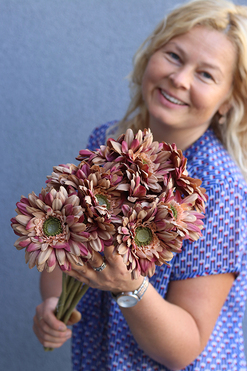 Gerbery Flamenco, bukiet beżowych kwiatów, dł.51cm