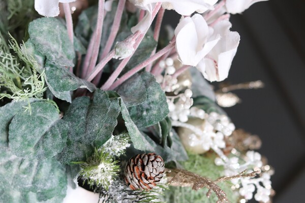 elegancka zimowa kompozycja, Cyklamenia Winter, wys.35cm 