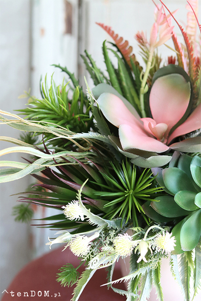 Albertina Design, kompozycja z sukulentami, wym.36x30cm