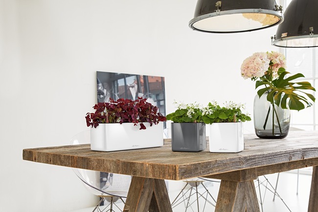 Cube Glossy, elegancka donica z nawadnianiem, antracyt, wym.16x17cm