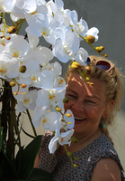 bardzo duży storczyk Beauty Grande w minimalistycznej donicy, wys.120cm 