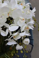 Cariba storczyk w ceramicznej paterze, wys.50cm