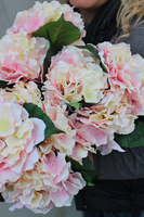 bukiet jasnoróżowych hortensji Samba 5szt. główek kwiatów, wys.46cm