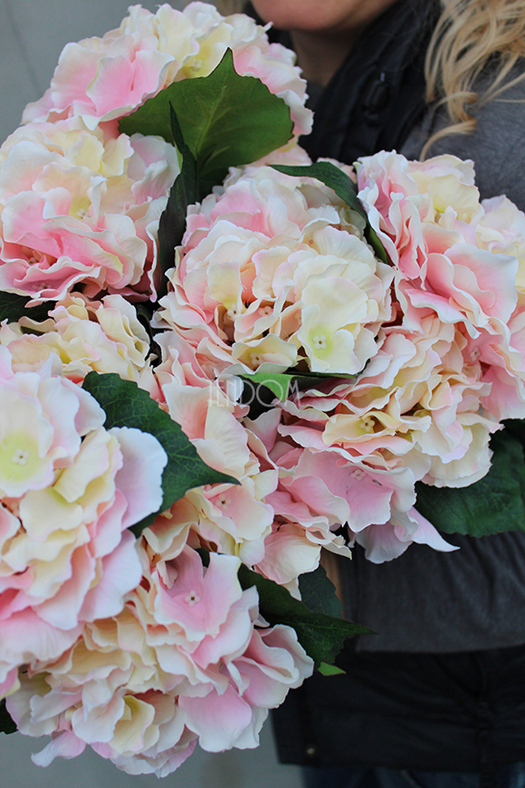 bukiet jasnoróżowych hortensji Samba 5szt. główek kwiatów, wys.46cm